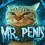 Mr. Peenar