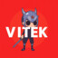 ViTeK~163