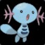 Intimate Wooper