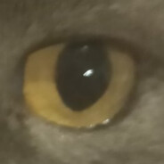 Spookz