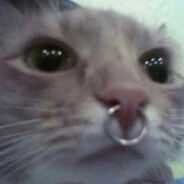 Fluff's avatar