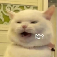 口供全是兄弟名