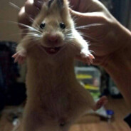 под спайсом)0)