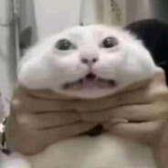 𝙙𝙞𝙚𝙜𝙤𝙘𝙪𝙪