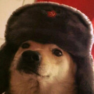 Джеси ( поменял сенсу, привыкаю