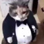 Fat Cat Wearing a Tuxedo
