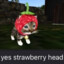 CatWithHat.png