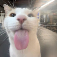 МАГА ЕБАТЬ(14)