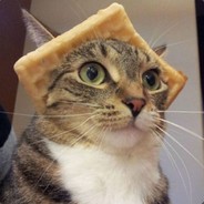 wafflecat_