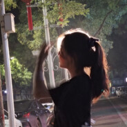 人生若只如初见