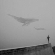 张美杰是我儿子