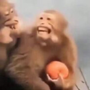 猛踹瘸子那条好腿