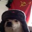 Commie Pupper