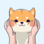 N@_Ke