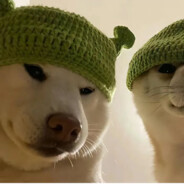 翻斗花园冲锋手胡英俊