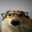 TheBert
