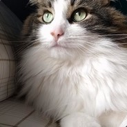 Marty