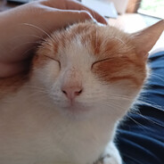 Luky