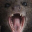 Froggi