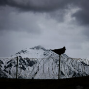 老张今天也温柔