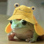 happy frog