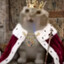 Just The King