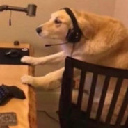 max - steam id 76561197963248776