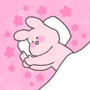 小白你上就够了