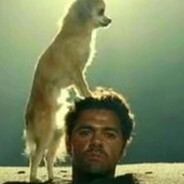 她说是石楠花香水