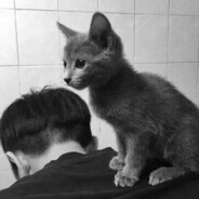 龙龙真的不聋！