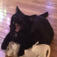 giggleshitter