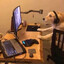 Steam avatar