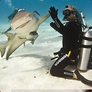 厦门鲨鱼馆馆长