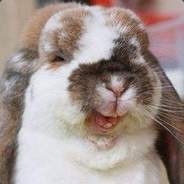 乱