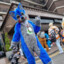 SiddTheWusky