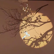 暴打竞技场的仰泳咸鱼