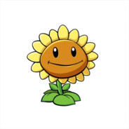 向日葵大王