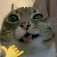 mur mur