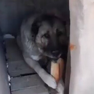 4Justice48 - steam id 76561198421564170