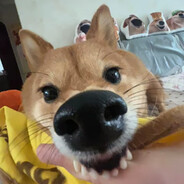 冷小池～(∠・ω< )⌒☆