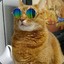 catspaw