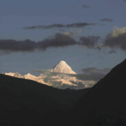 我的梦里会有她嘛