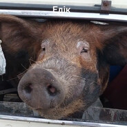 Осквиртитель