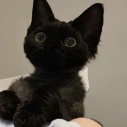 拒绝肯豆的男人