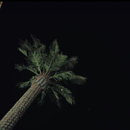 siko - steam id 76561199817401203