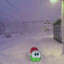 ФИМОЗ ГЛАВНЫЙ