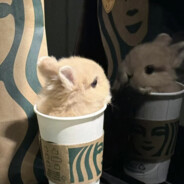 站街往乞丐碗里吐痰