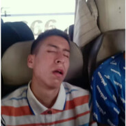 爱睡觉的小猫咪