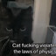 Violence