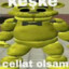 Dom6cı